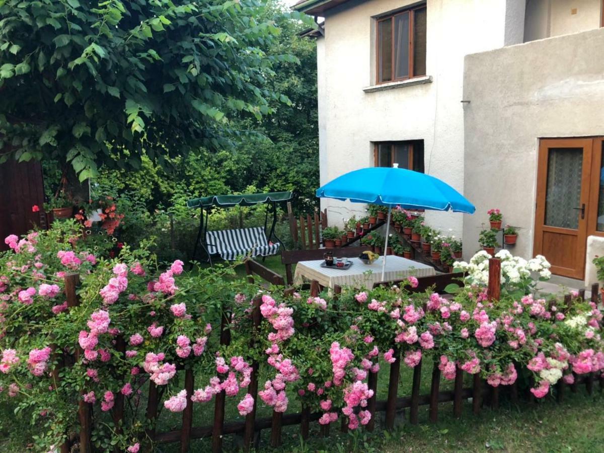 Guest House Emmy Trigrad Zewnętrze zdjęcie